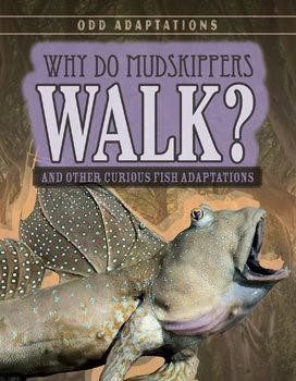 Why Do Mudskippers Walk? (And Other Curious Fish Adaptations) by Patricia Fletcher, 9781538203934