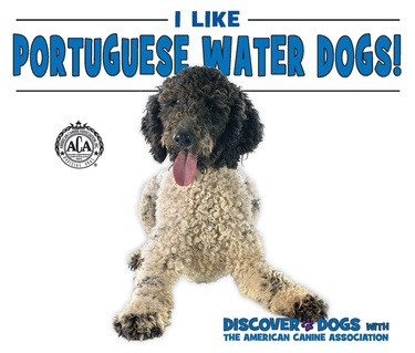 I Like Portuguese Water Dogs! by Linda Bozzo, 9780766091153