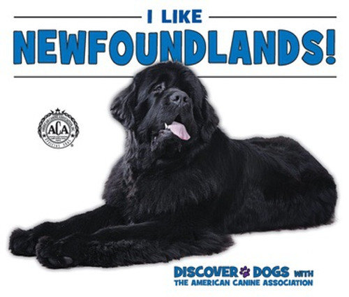 I Like Newfoundlands! by Linda Bozzo, 9780766091351