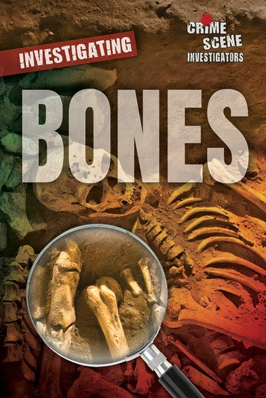 Investigating Bones by Ellina Litmanovich, Sara L. Latta, 9780766091825