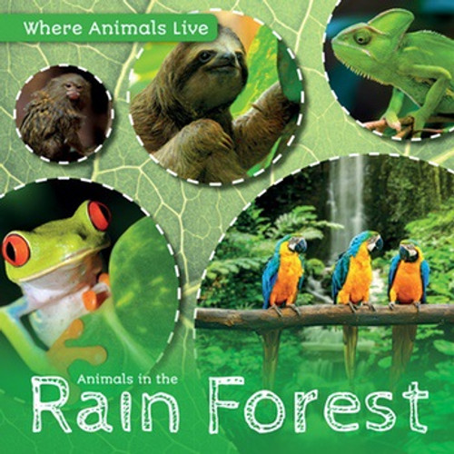 Animals in the Rain Forest by John Wood, 9781534523753