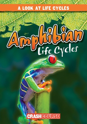 Amphibian Life Cycles by Bray Jacobson, 9781538210338