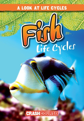 Fish Life Cycles by Bray Jacobson, 9781538210406