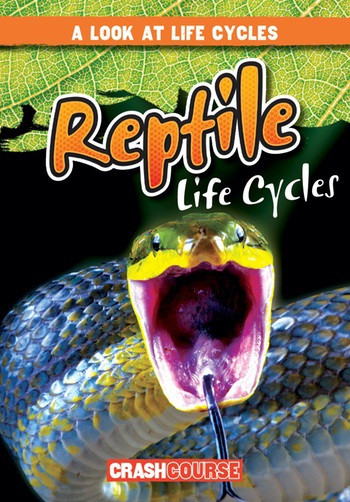Reptile Life Cycles - 9781538210543 by Bray Jacobson, 9781538210543