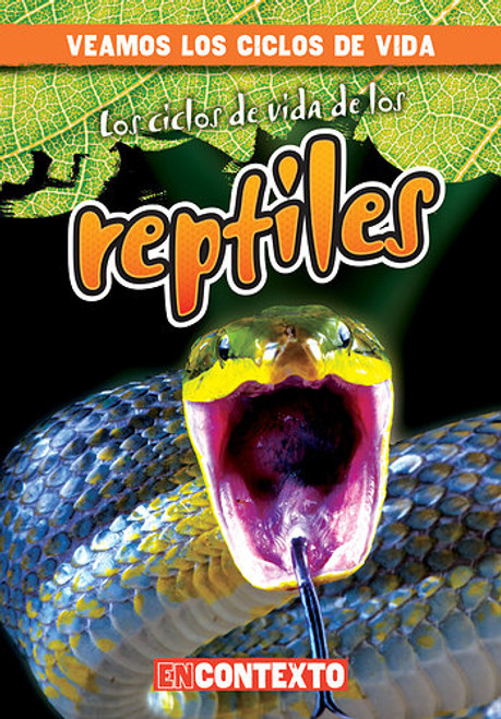 Los ciclos de vida de los reptiles (Reptile Life Cycles) (Spanish Edition) by Bray Jacobson, Alberto Jiménez, 9781538215210
