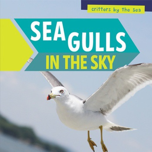 Sea Gulls in the Sky - 9781538325179 by Elliot Monroe, 9781538325179