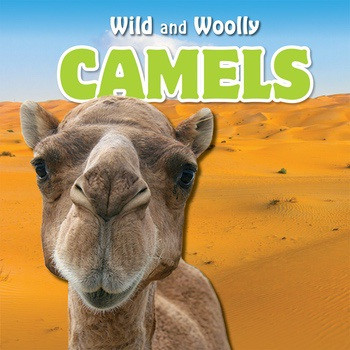 Camels - 9781538325278 by Cleo Bloom, 9781538325278