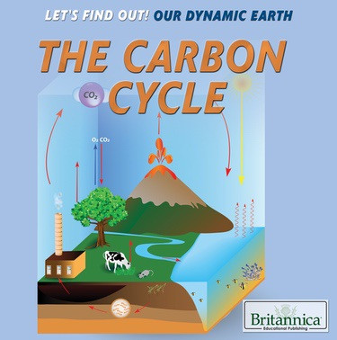 The Carbon Cycle - 9781680488210 by Laura Loria, 9781680488210