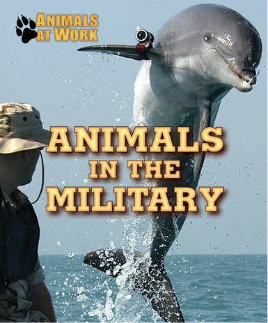 Animals in the Military by Alexis Burling, 9780766096196