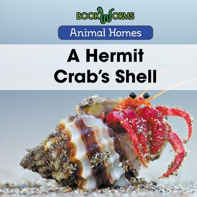 A Hermit Crab's Shell - 9781502636607 by Arthur Best, 9781502636607