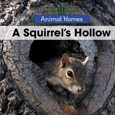 A Squirrel's Hollow - 9781502636720 by Arthur Best, 9781502636720