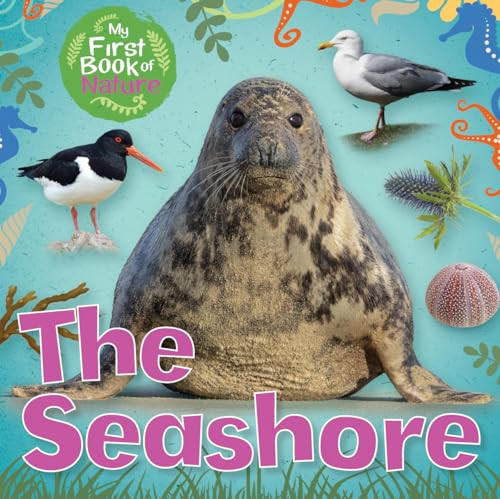 The Seashore by Victoria Munson, 9781508196198