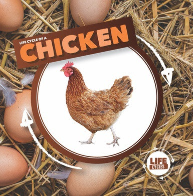Life Cycle of a Chicken - 9781534526310 by Kirsty Holmes, 9781534526310