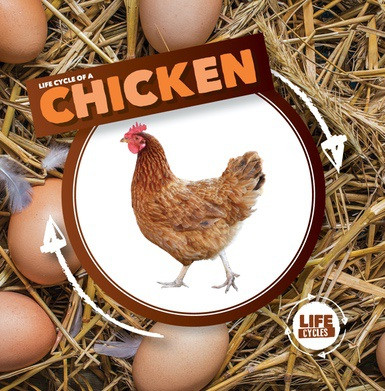 Life Cycle of a Chicken - 9781534526327 by Kirsty Holmes, 9781534526327