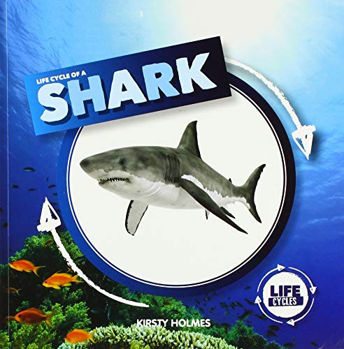 Life Cycle of a Shark - 9781534526402 by Kirsty Holmes, 9781534526402