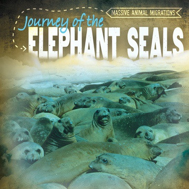 Journey of the Elephant Seals by AnneReneé Goyette, 9781538216453