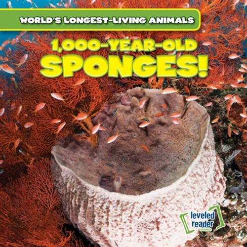 1,000-Year-Old Sponges! - 9781538216989 by Joni Kelly, 9781538216989