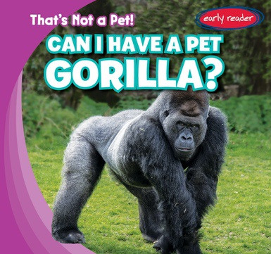Can I Have a Pet Gorilla? - 9781538217986 by Bert Wilberforce, 9781538217986