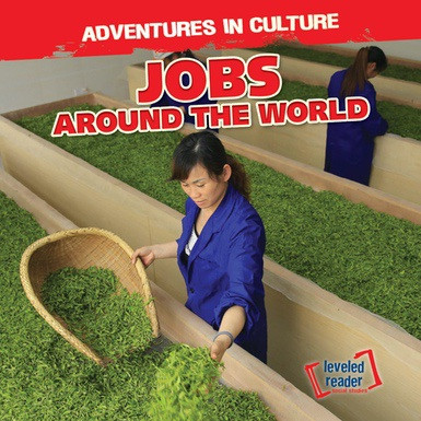 Jobs Around the World by Mary Pat Ehmann, 9781538218716