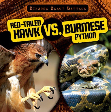 Red-Tailed Hawk vs. Burmese Python - 9781538219379 by Theresa Morlock, 9781538219379