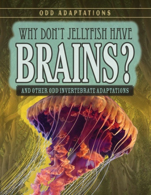 Why Don't Jellyfish Have Brains? (And Other Odd Invertebrate Adaptations) by Caitie McAneney, 9781538220399