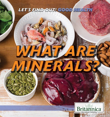 What Are Minerals? - 9781538303023 by Corona Brezina, 9781538303023