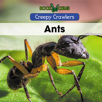 Ants - 9781502641663 by Anika Abraham, 9781502641663