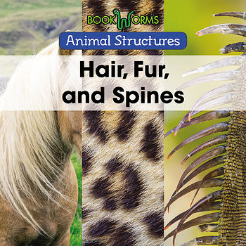 Hair, Fur, and Spines by Derek Miller, 9781502641922