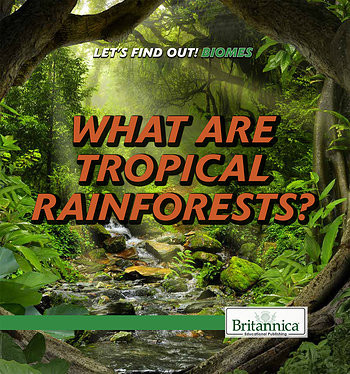 What Are Tropical Rainforests? by Maddie Gibbs, 9781508106975
