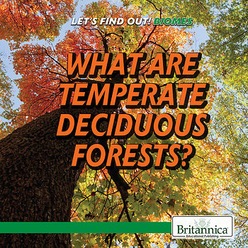 What Are Temperate Deciduous Forests? - 9781508107088 by Heather Moore Niver, 9781508107088