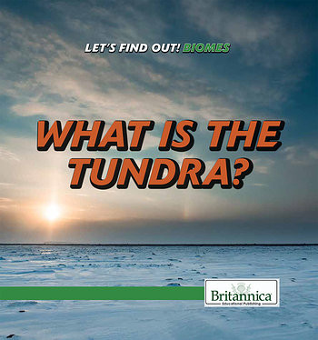 What Is the Tundra? - 9781508107132 by Julia J. Quinlan, 9781508107132