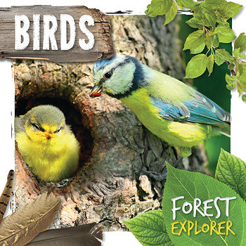Birds - 9781534528574 by Robin Twiddy, 9781534528574