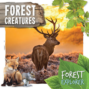 Forest Creatures - 9781534528611 by Robin Twiddy, 9781534528611