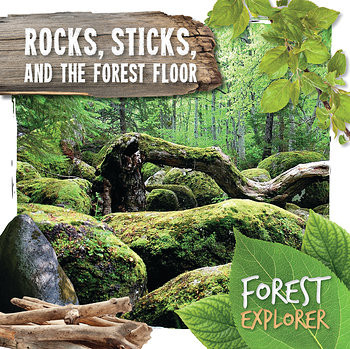 Rocks, Sticks, and the Forest Floor - 9781534528697 by Robin Twiddy, 9781534528697