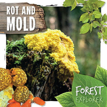 Rot and Mold - 9781534528857 by Robin Twiddy, 9781534528857