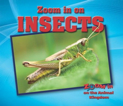 Insects - 9781978501874 by Heather Moore Niver, 9781978501874