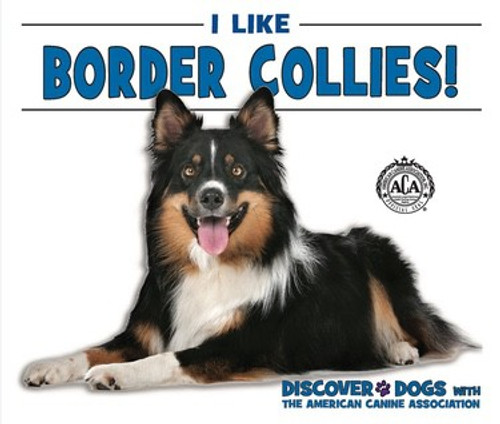 I Like Border Collies! - 9781978502567 by Linda Bozzo, 9781978502567