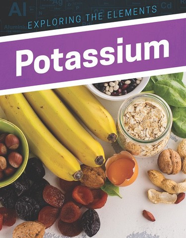 Potassium - 9781978503694 by Donna B. McKinney, 9781978503694