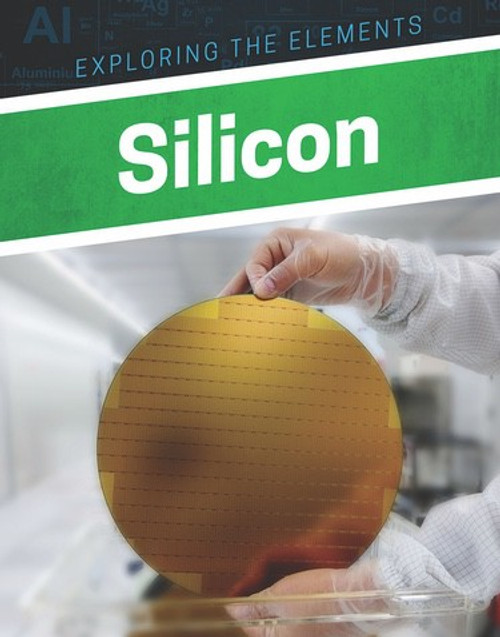 Silicon - 9781978503700 by Clara MacCarald, 9781978503700