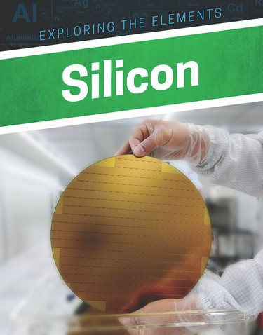 Silicon - 9781978503700 by Clara MacCarald, 9781978503700