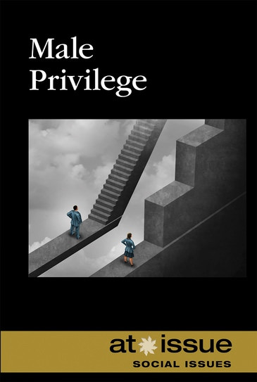 Male Privilege - 9781534505223 by Anna Wenzel, 9781534505223