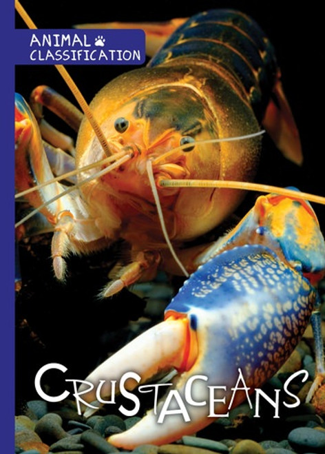 Crustaceans - 9781534530287 by Joanna Brundle, 9781534530287