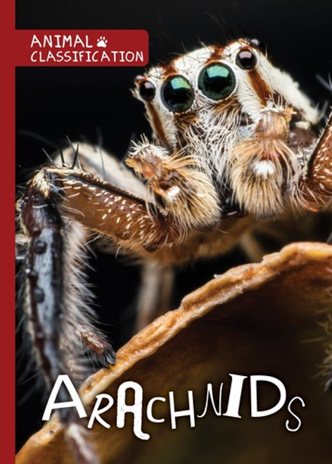 Arachnids - 9781534530294 by Joanna Brundle, 9781534530294
