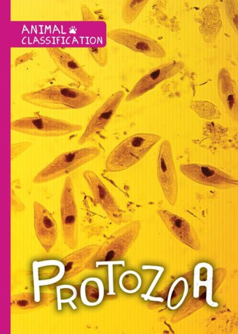 Protozoa by Joanna Brundle, 9781534530317