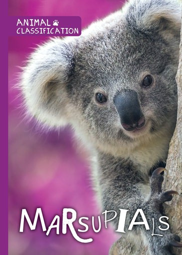 Animal Classification: Set 2 - 9781534531437 by , 9781534531437