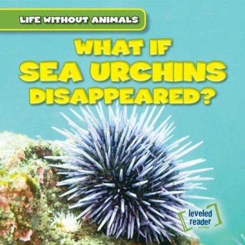 What If Sea Urchins Disappeared? - 9781538238264 by Theresa Emminizer