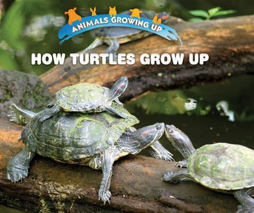 How Turtles Grow Up - 9781978508316 by Linda Bozzo, 9781978508316