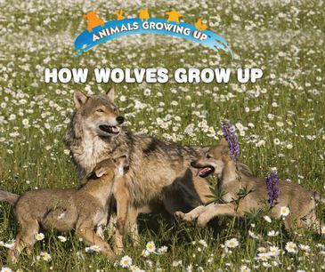 How Wolves Grow Up - 9781978508347 by Linda Bozzo, 9781978508347