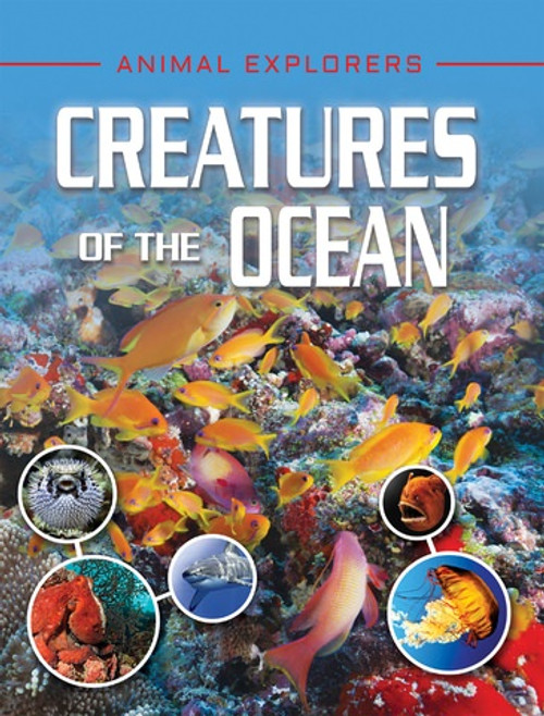 Creatures of the Ocean - 9781978509771 by Michael Leach, Meriel Lland, 9781978509771