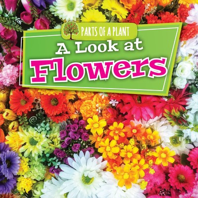 A Look at Flowers - 9781534533639 by Lindsey Lowe, 9781534533639